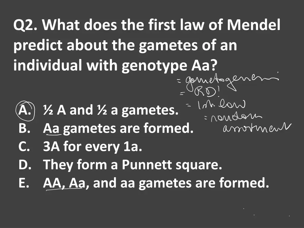 q2 what does the first law of mendel predict