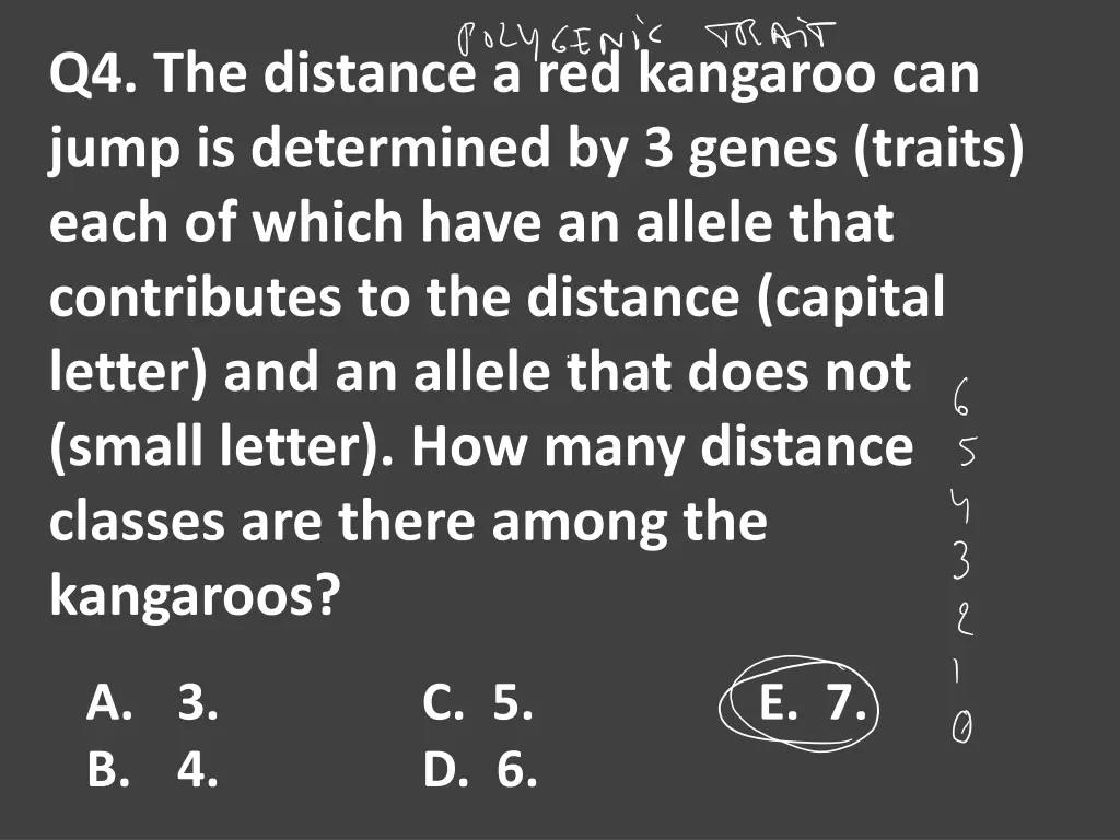 q4 the distance a red kangaroo can jump