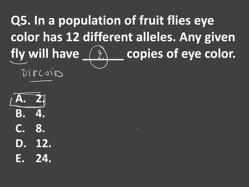 q5 in a population of fruit flies eye color