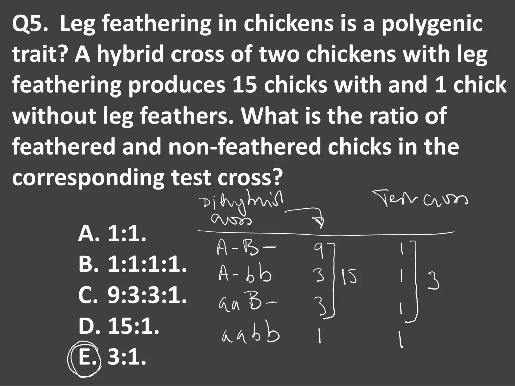 q5 leg feathering in chickens is a polygenic