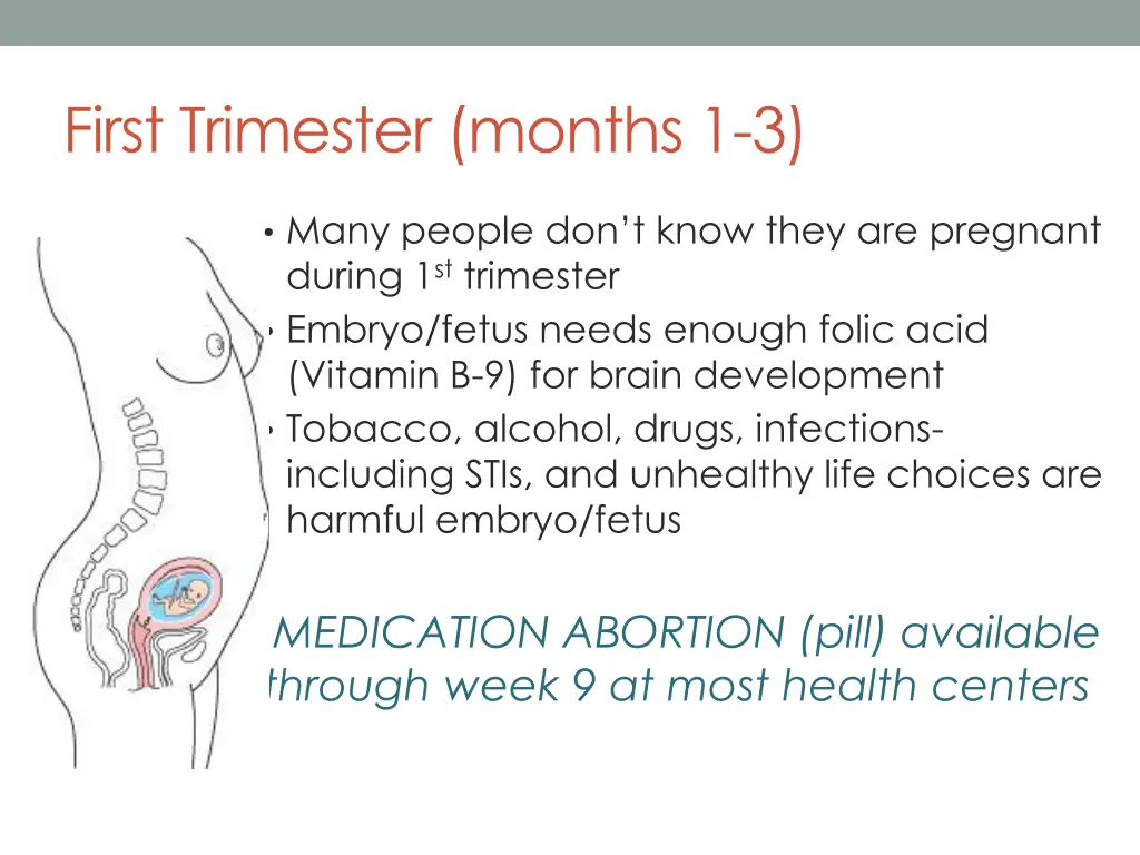 first trimester months 1 3