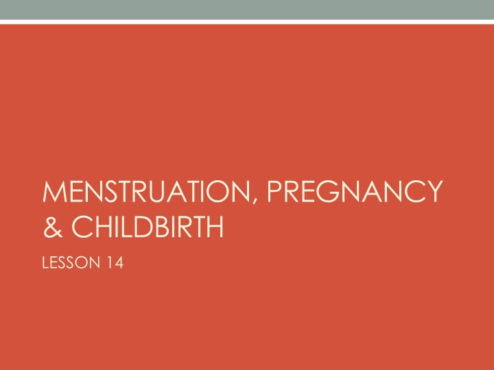 menstruation pregnancy childbirth lesson 14