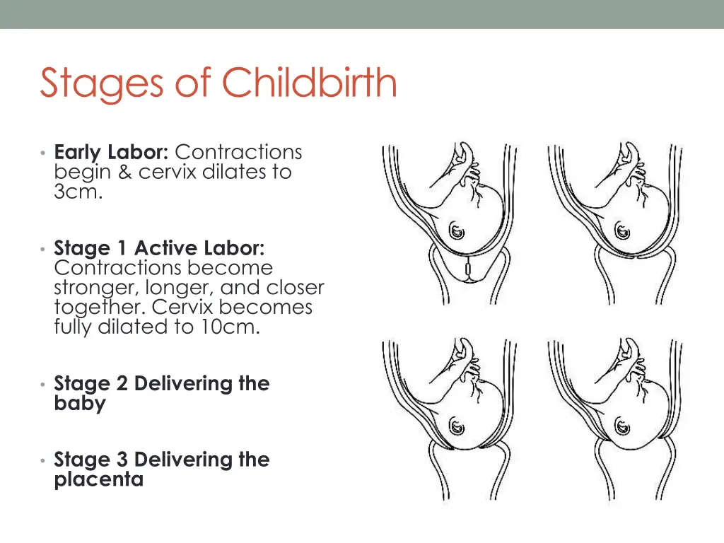 stages of childbirth