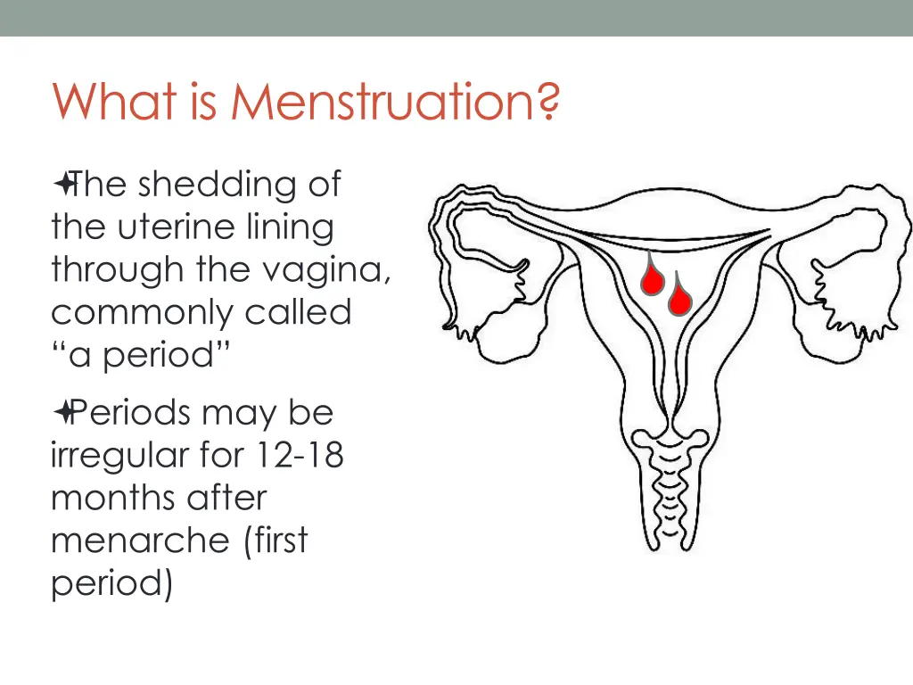 what is menstruation