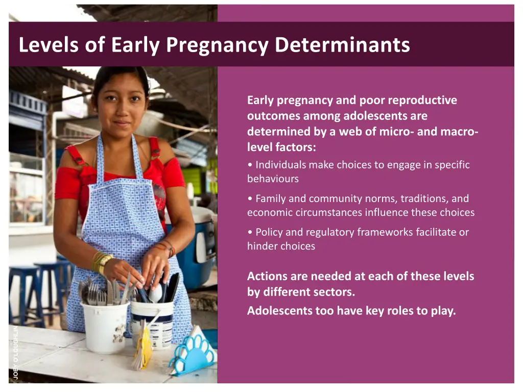 levels of early pregnancy determinants