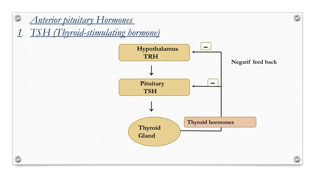 anterior pituitary hormones 1 tsh thyroid