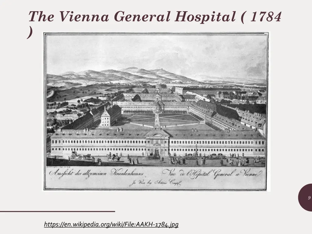 the vienna general hospital 1784