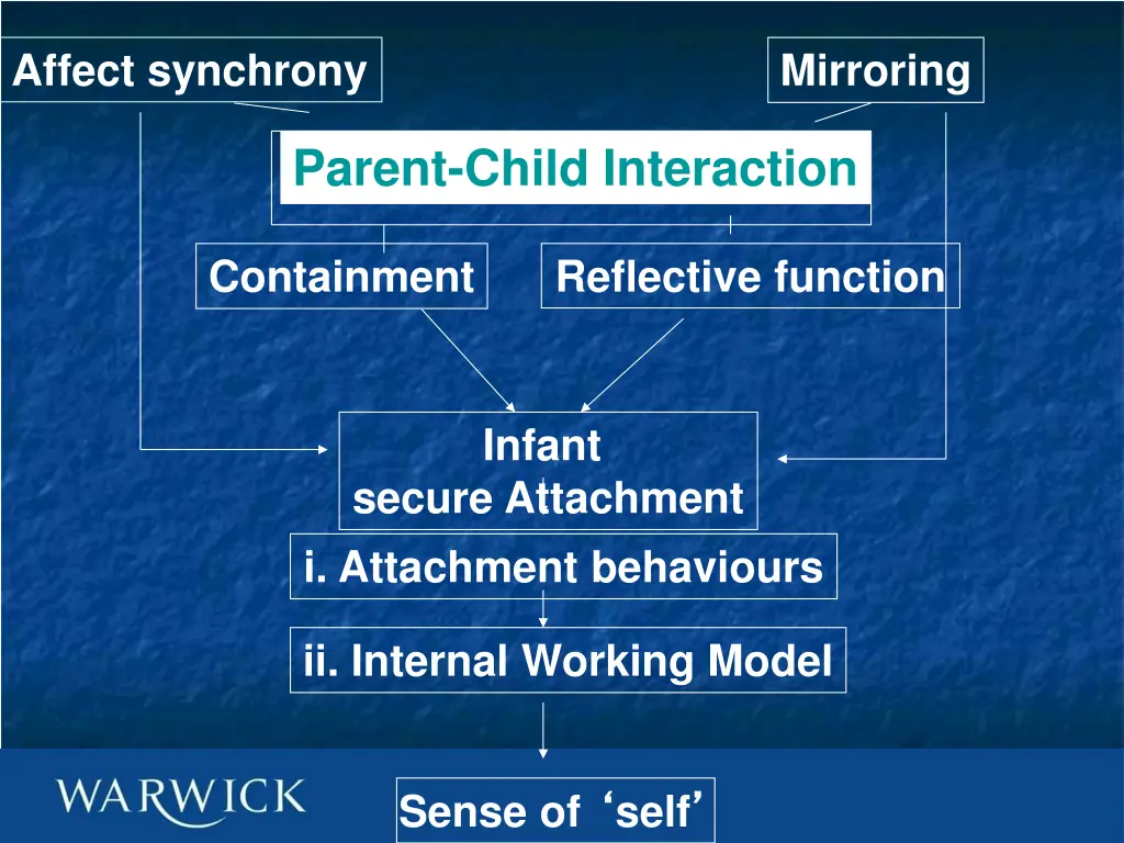 affect synchrony