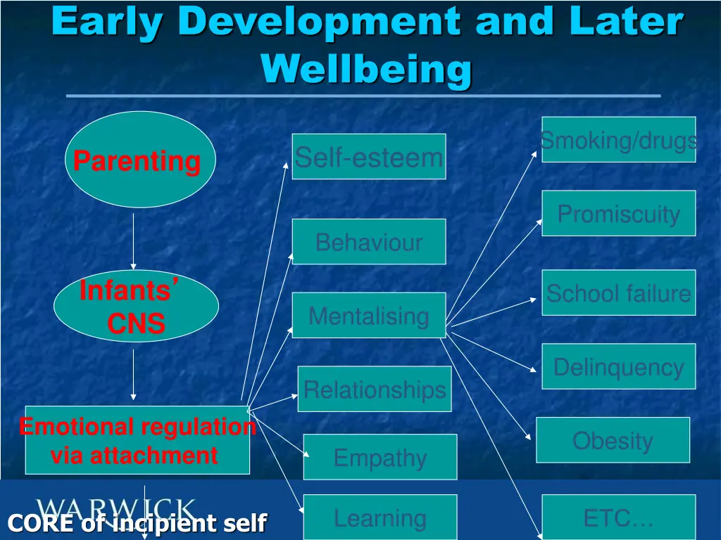 early development and later wellbeing