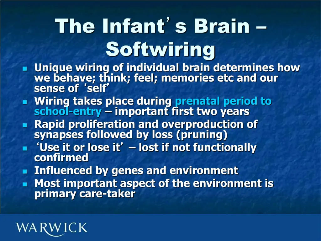 the infant s brain softwiring unique wiring