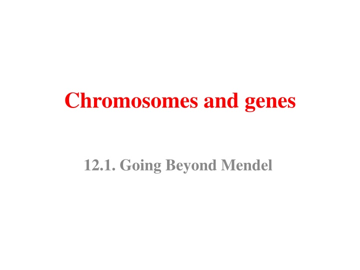 chromosomes and genes