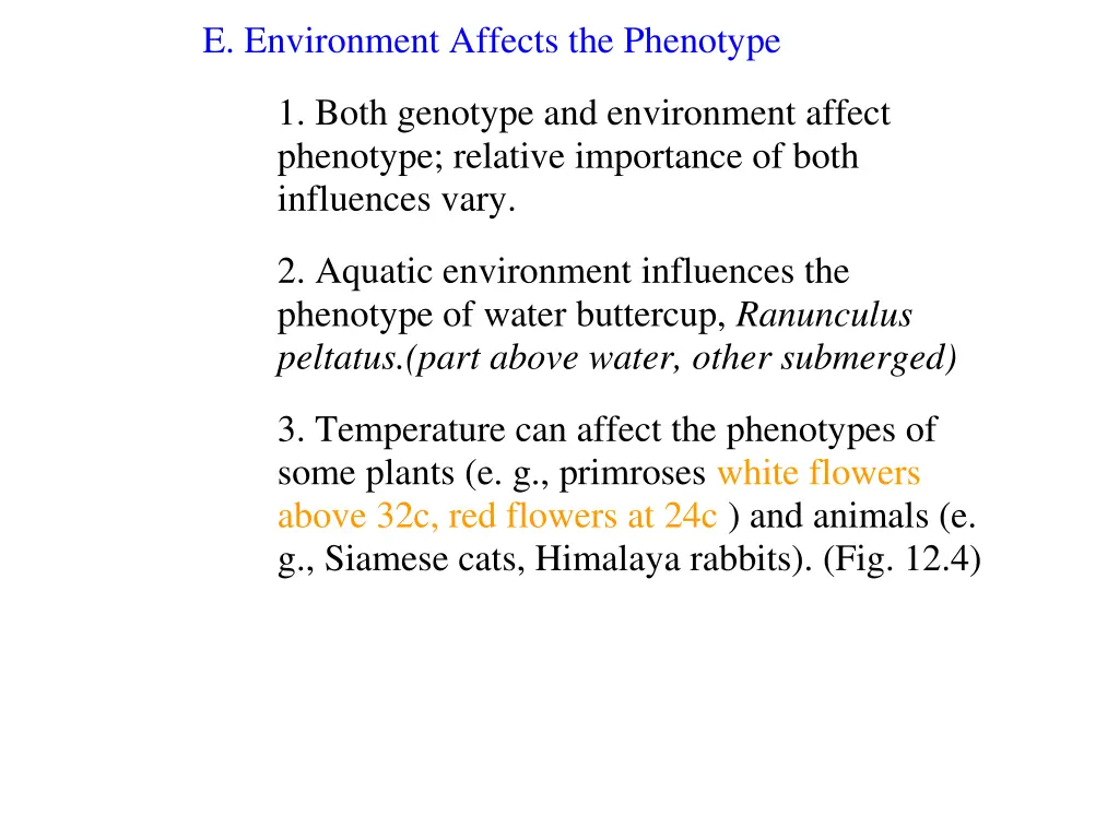 e environment affects the phenotype