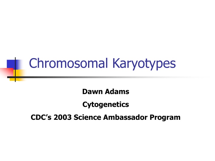 chromosomal karyotypes