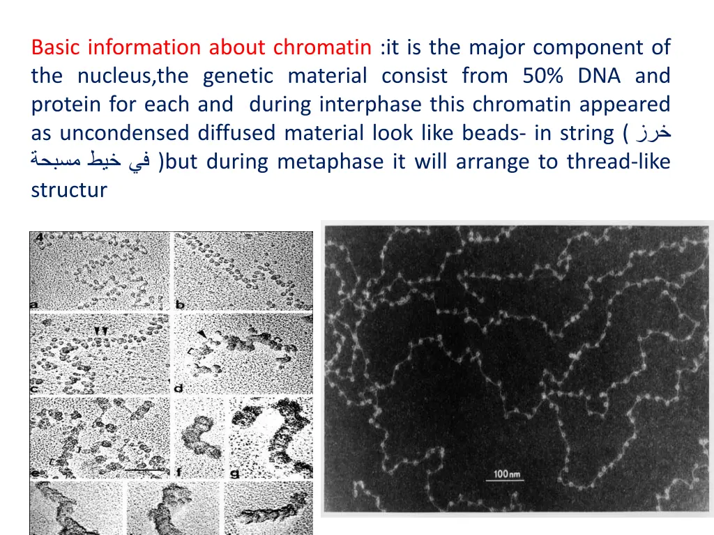 basic information about chromatin it is the major