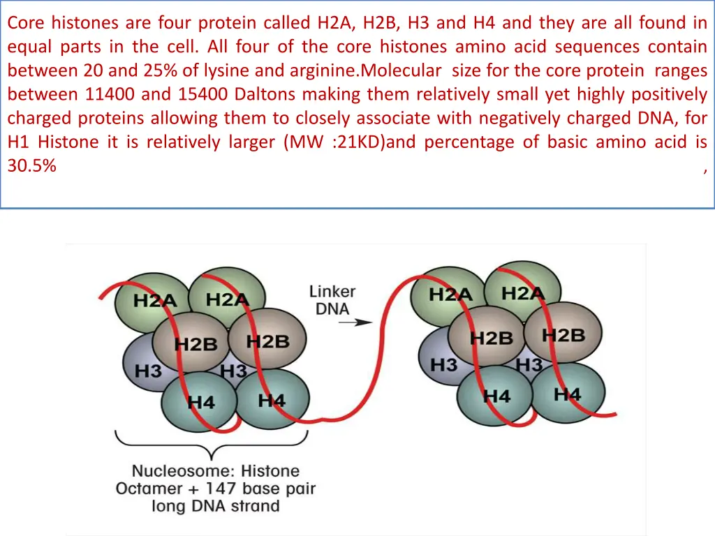 core histones are four protein called