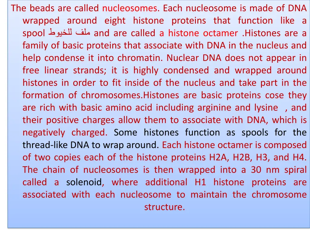 the beads are called nucleosomes each nucleosome