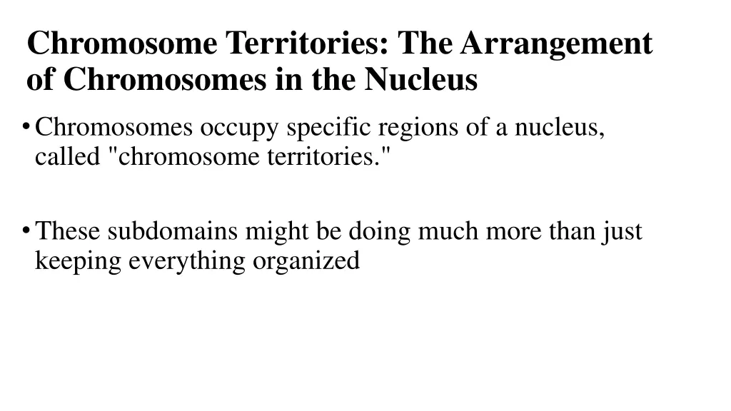 chromosome territories the arrangement