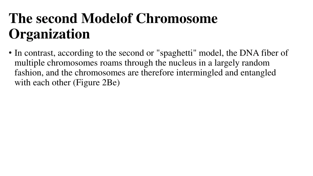 the second modelof chromosome organization