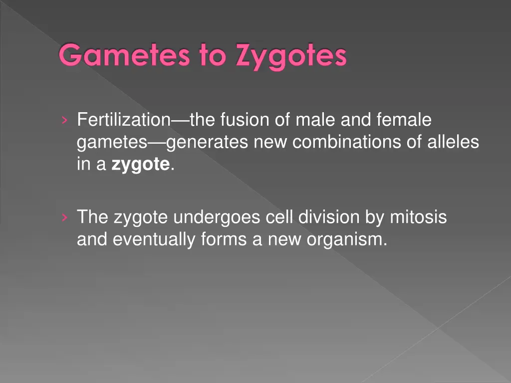 gametes to zygotes 1