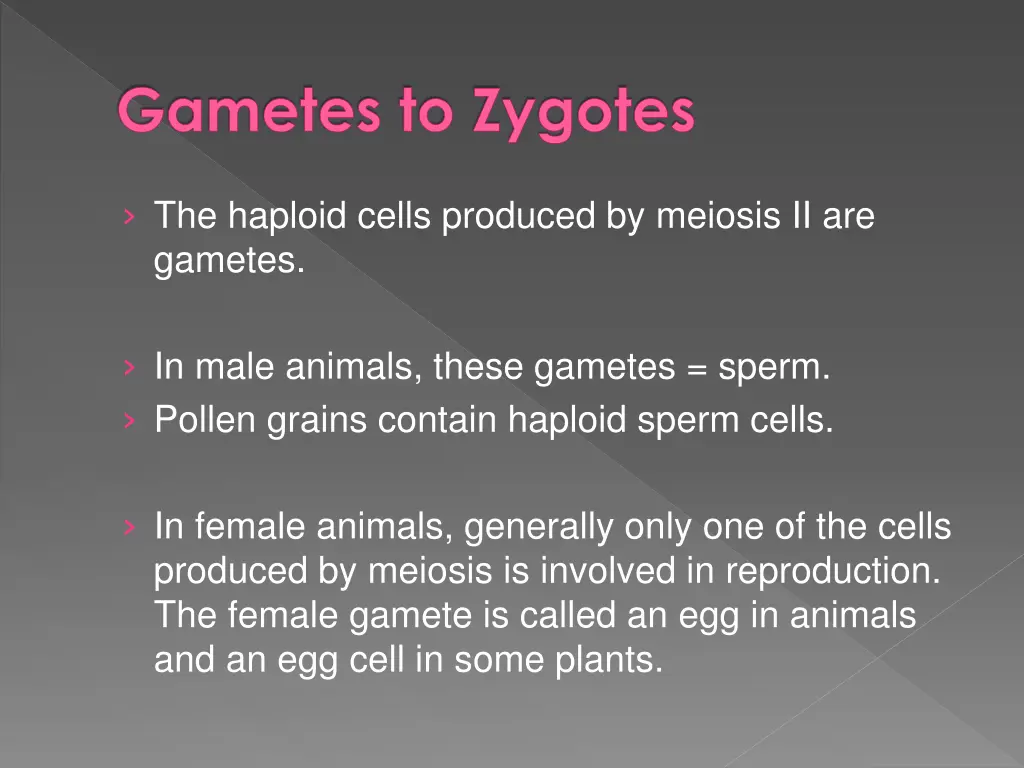 gametes to zygotes