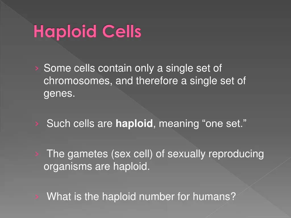 haploid cells