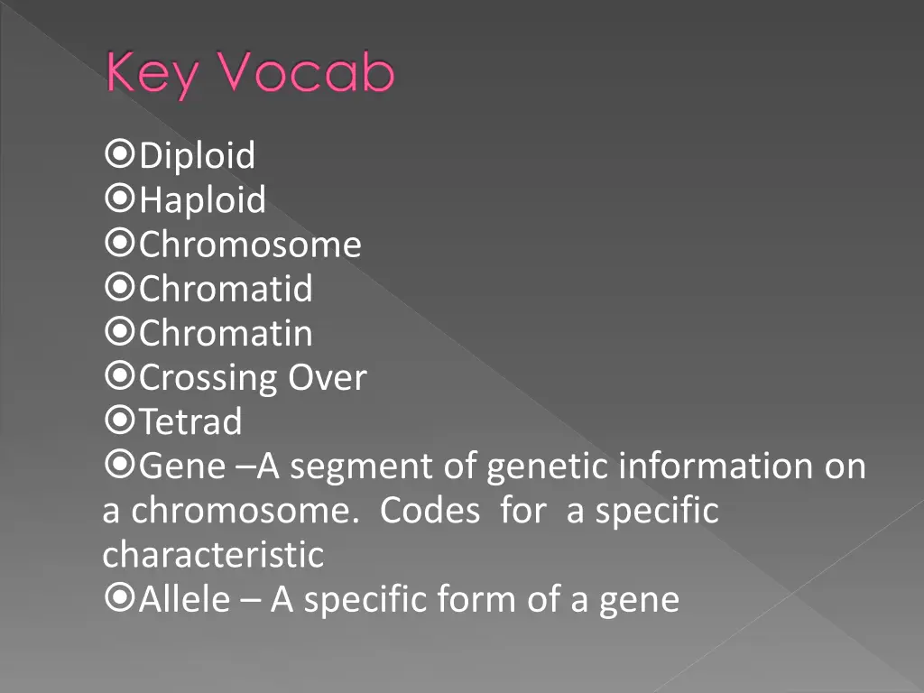 key vocab