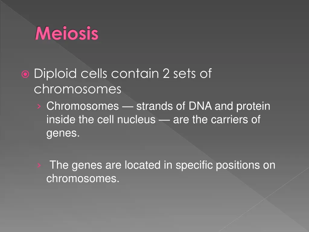 meiosis 1