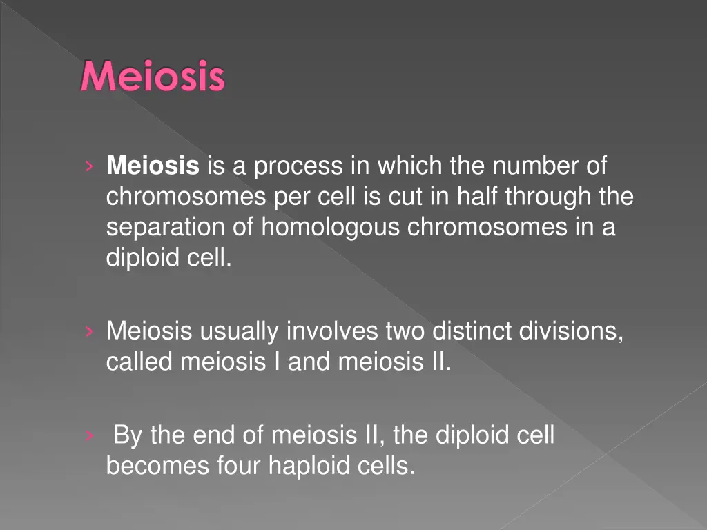 meiosis 2