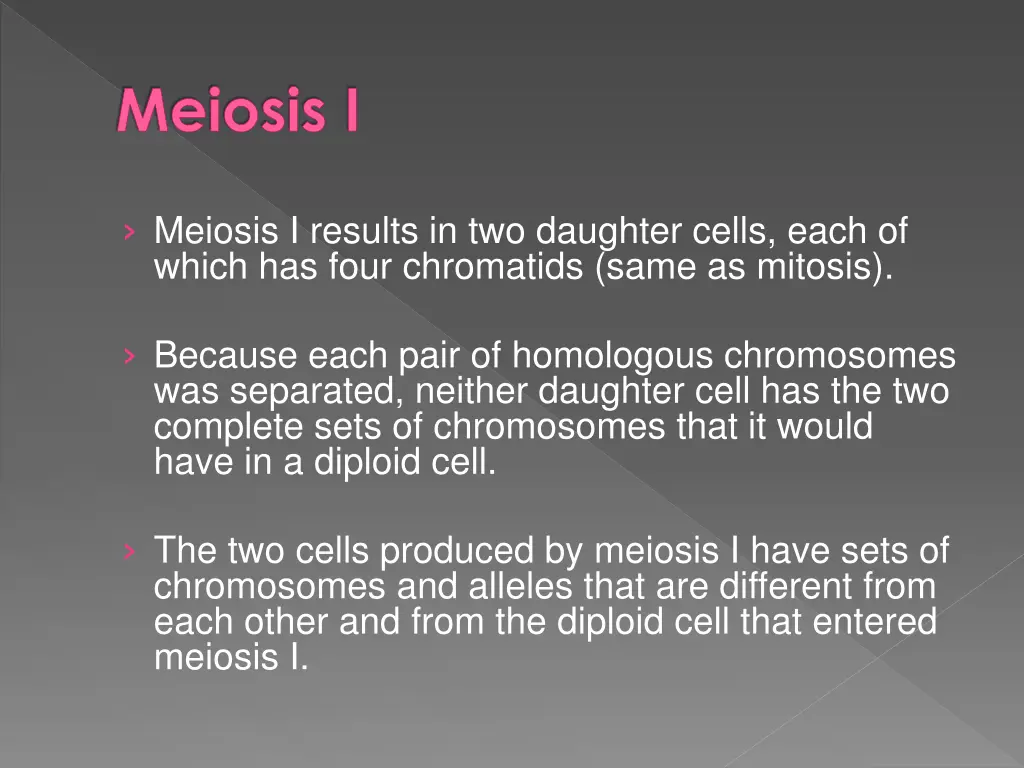 meiosis i