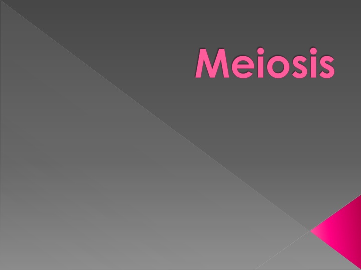 meiosis