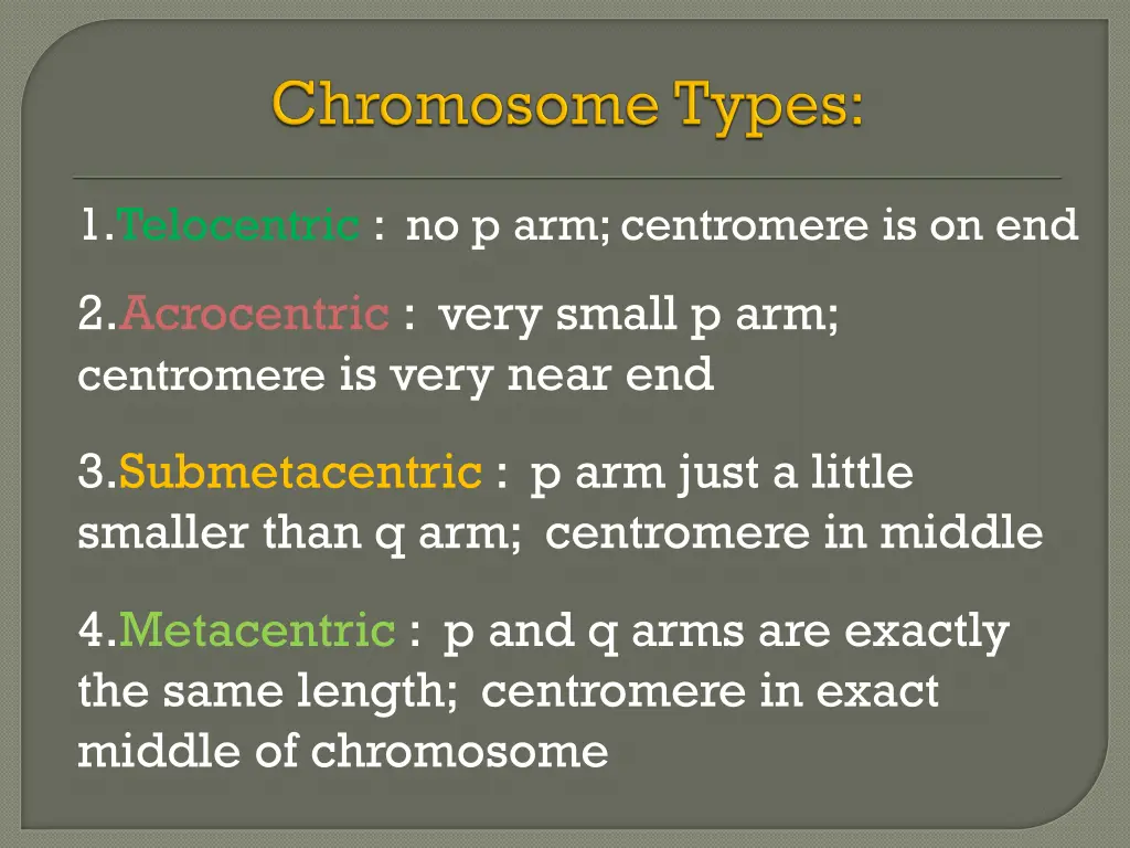 1 telocentric no p arm centromere is on end