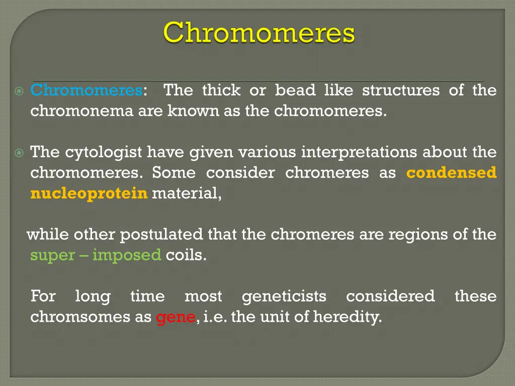 chromomeres the thick or bead like structures