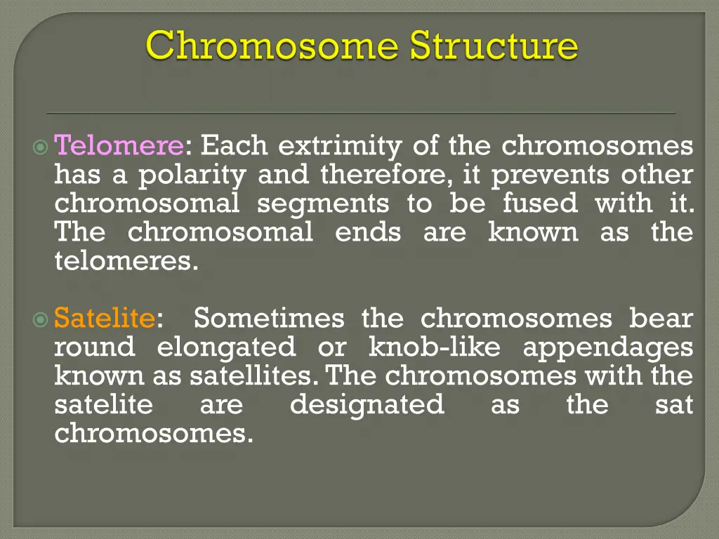 telomere each extrimity of the chromosomes