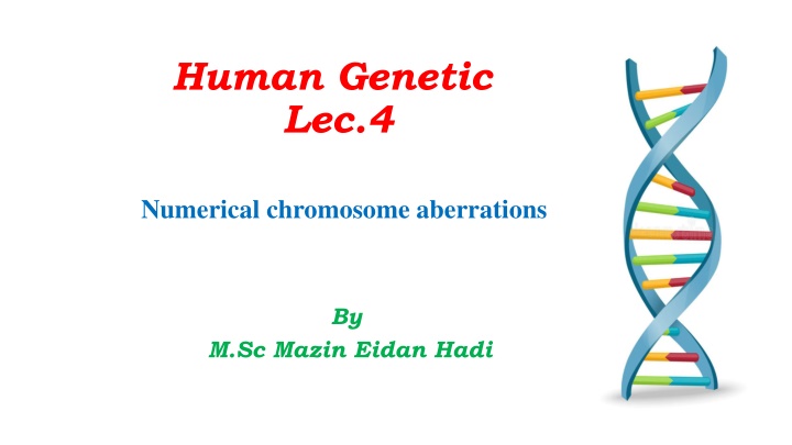 human genetic lec 4