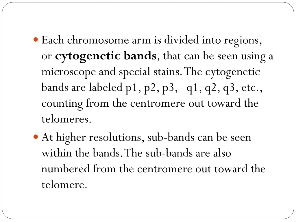 each chromosome arm is divided into regions