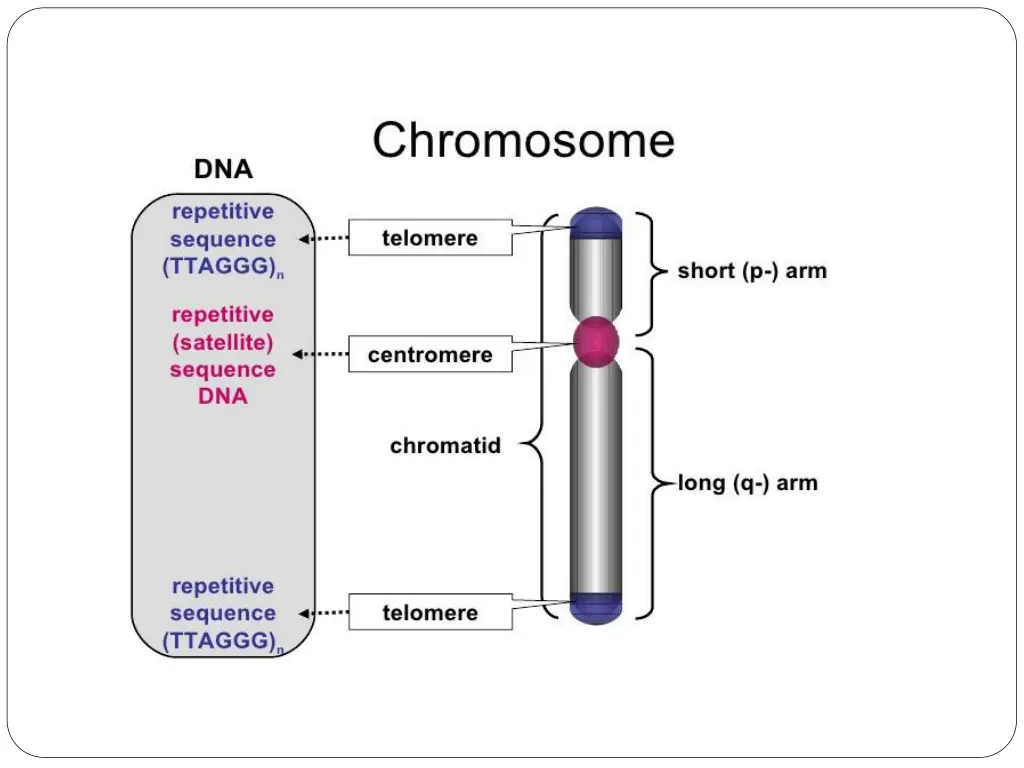 slide9