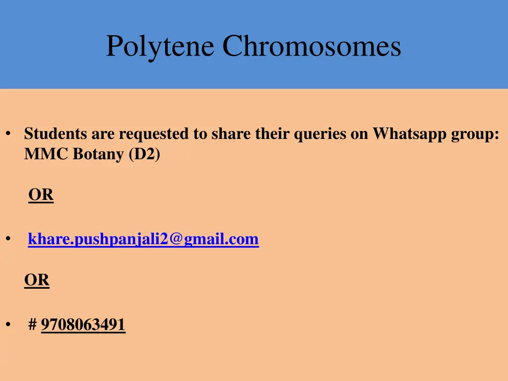 polytene chromosomes 1