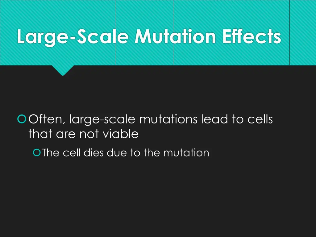 large scale mutation effects 2