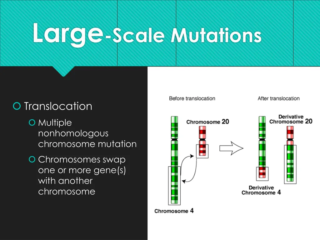 large scale mutations 5