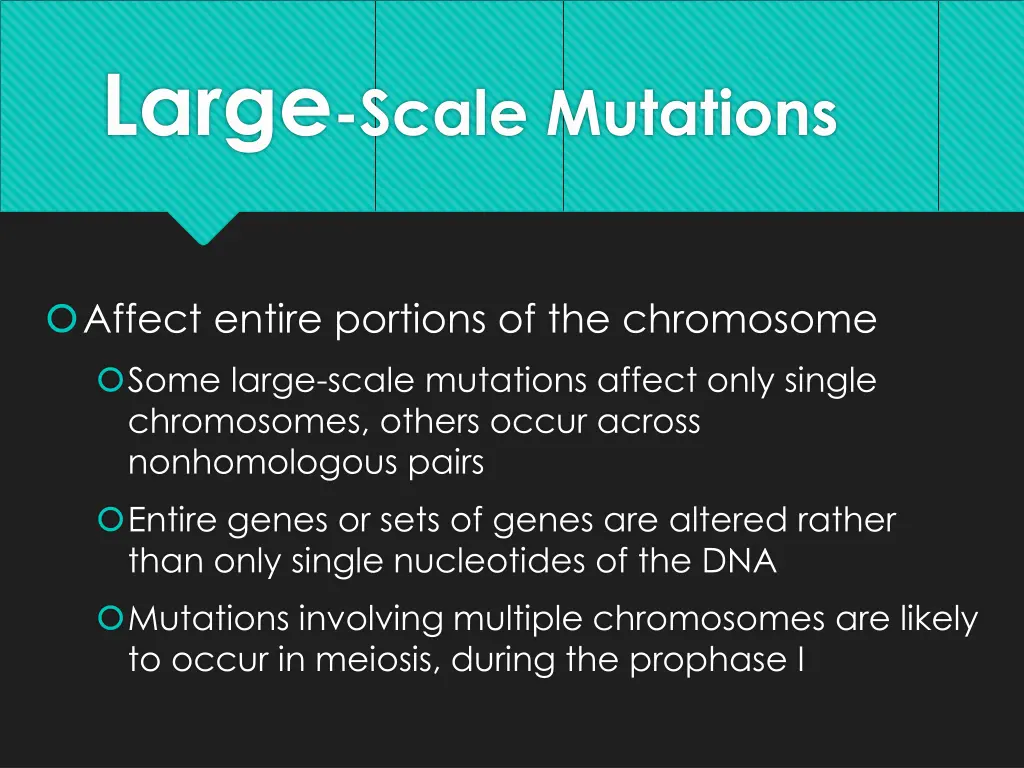 large scale mutations