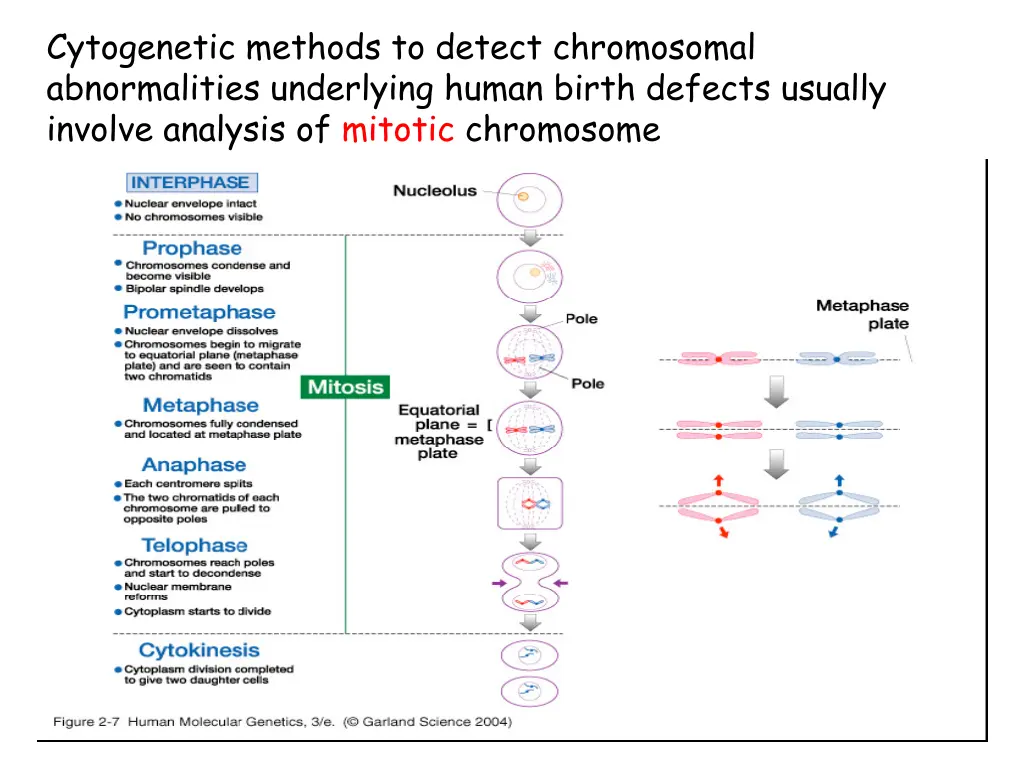 cytogenetic methods to detect chromosomal