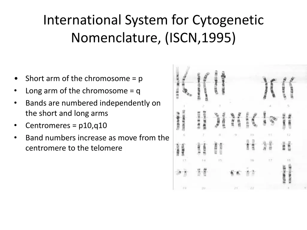 international system for cytogenetic nomenclature