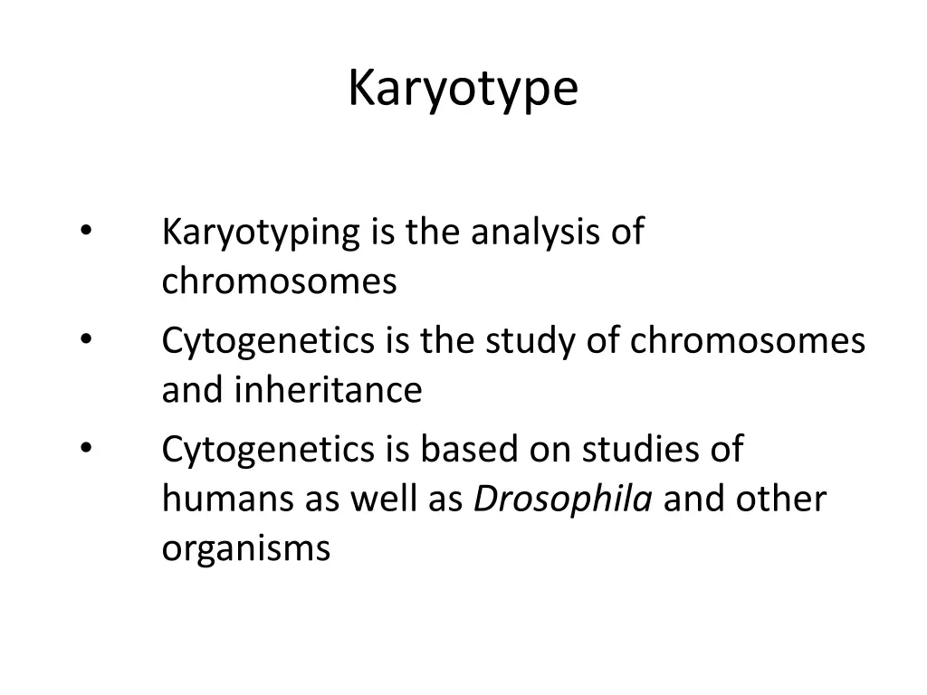 karyotype