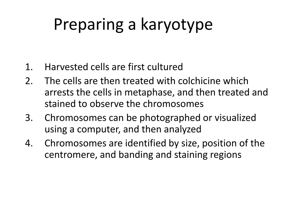 preparing a karyotype