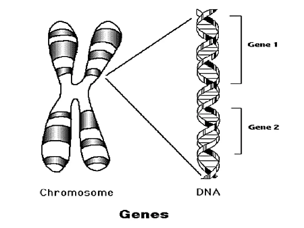 slide14