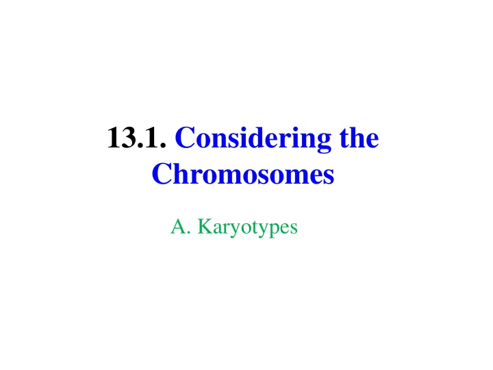 13 1 considering the chromosomes