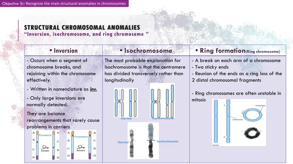 3c recognize the main structural anomalies 1