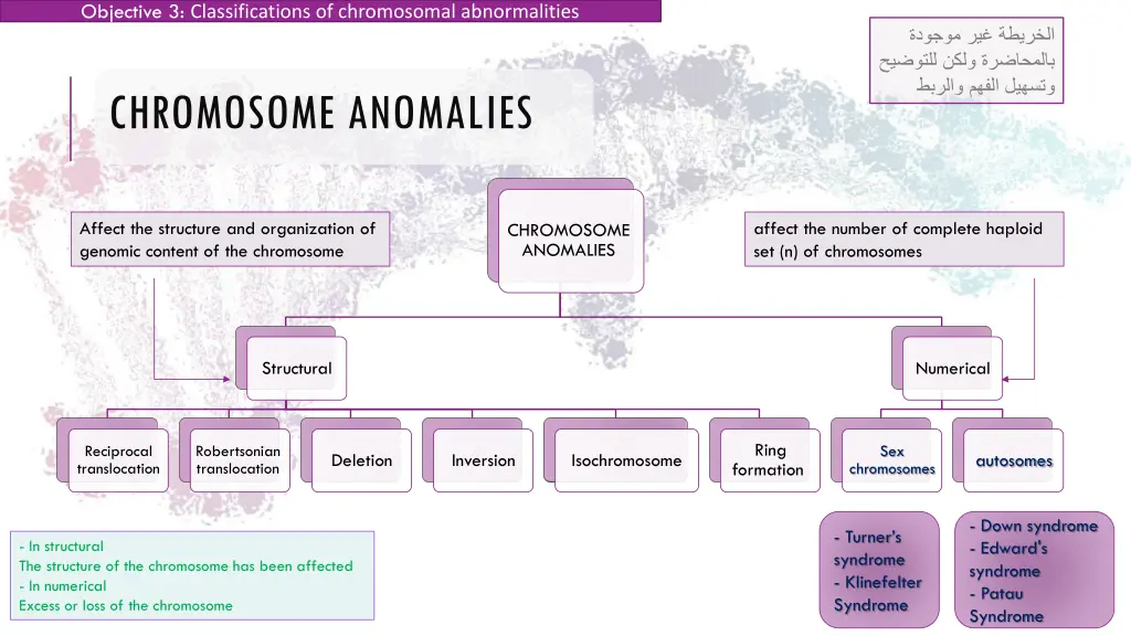 objective 3 classifications of chromosomal