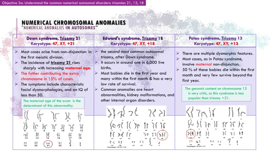 objective 3a understand the common numerical