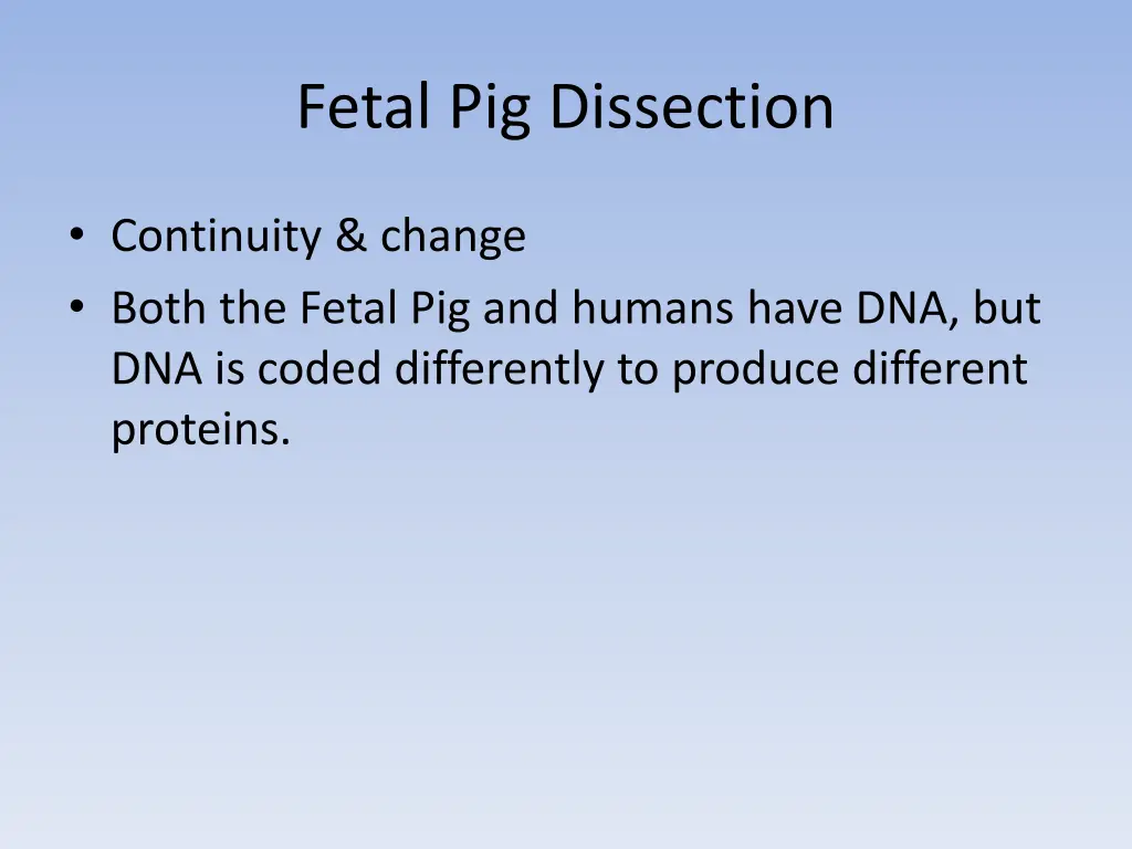 fetal pig dissection